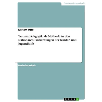 Abbildung von Traumapädagogik als Methode in den stationären Einrichtungen der Kinder und Jugendhilfe
