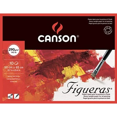 Abbildung von Canson 200857230 Figueras Ölmalpapier, 50 x 65 cm, naturweiß