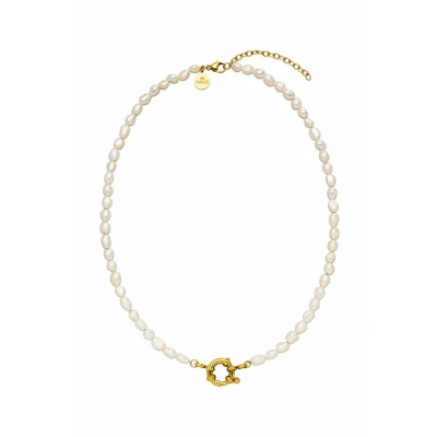 Abbildung von Purelei® Pearl Charm Halskette Elegante Kette mit Süßwasserperlen und Öse Edelstahl 18K vergoldet, Silber, Roségold (Gold)