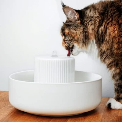 Abbildung von LucyBalu Trinkbrunnen TREVI für Katzen aus Keramik, Wasserbrunnen