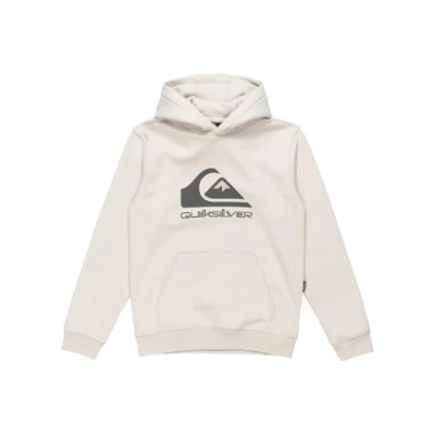Abbildung von Quiksilver Big Logo Hoodie Pullover aus Fleece Kind