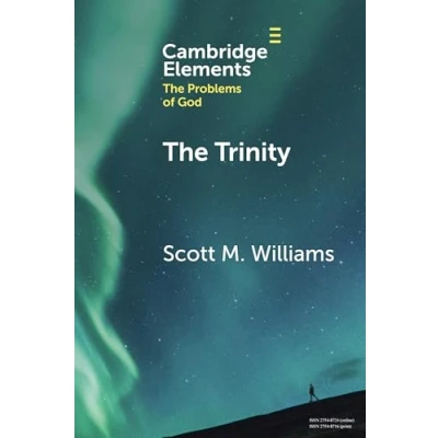 Abbildung von the Trinity (Elements in Problems of God)