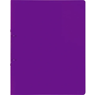 Abbildung von 10 x Brunnen Ringbuch Fact! A4 25mm 2 Ringe purple