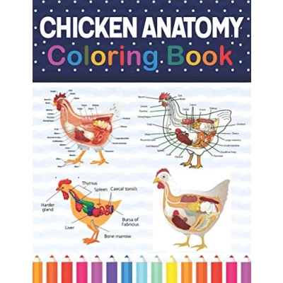 Abbildung von Chicken Anatomy Coloring Book: and Veterinary Physiology Book. The New Surprising Magnificent Learning Structure For ... Student&#039;s Self Test &amp; Activity