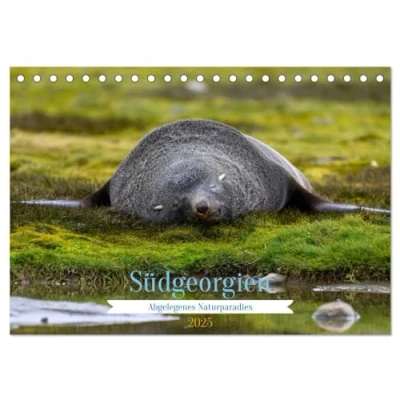 Abbildung von Südgeorgien Abgelegenes Naturparadies (Tischkalender 2025 DIN A5 quer), CALVENDO Monatskalender