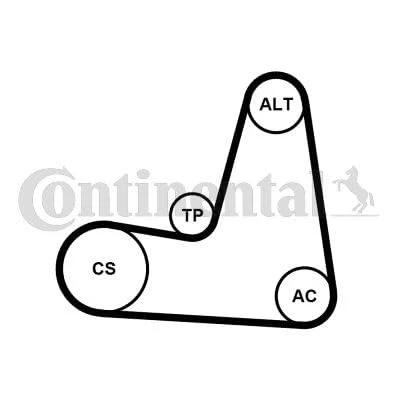 Abbildung von CONTITECH 6PK1130K2 Keilrippenriemensatz RENAULT: CLIO 2, 3, TWINGO DACIA: SANDERO I, Duster SUV, NISSAN: MICRA 3