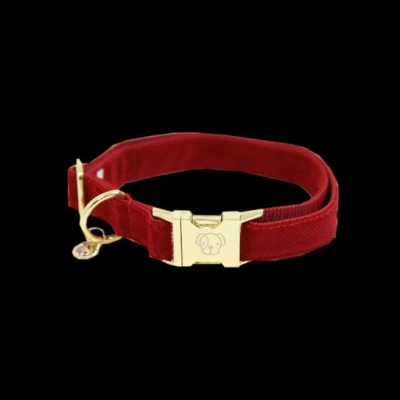 Abbildung von Kentucky Horsewear Hundehalsband Corduroy Rot