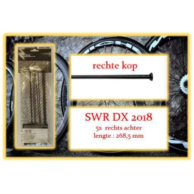 Abbildung von Miche Speiche und Nip 5x RA SWR DX 2018 Hochwertige Fahrradteile