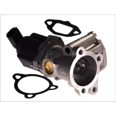 Abbildung von PIERBURG 7.00020.39.0 AGR Ventil elektrisch Magnetventil mit Dichtung FIAT: Panda II Schrägheck, 500 Idea, FORD: KA Schrägheck