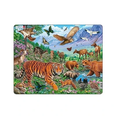 Abbildung von Larsen Sibirischer Tiger im Sommer Rahmenpuzzle 36 Teile