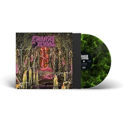 Abbildung von Embalmed in Decay (Trans Lime/Black Marbled Vinyl) [Vinyl LP]