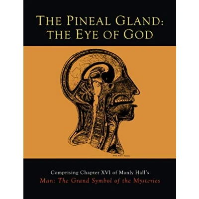 Abbildung von The Pineal Gland: Eye of God