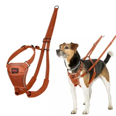 Abbildung von HALTI No Pull Anti Zug Geschirr Verhindert, dass Ihr Hund an der Leine zieht, Gepolsterter Brust und Beingurt, Reflektierendes Gurtmaterial, Einfache Anpassung Benutzung(Größe XS, Dunkelorange)