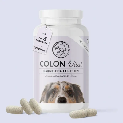 Abbildung von Annimally® Probiotika für Hunde mit 1,5 Mrd. KBE 120 Tabletten eine gesunde Darmflora Darmbakterien zur Darmsanierung &amp; bei Durchfall den Hund Immunsystem stärken