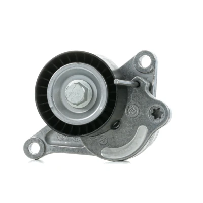 Abbildung von FEBI BILSTEIN 36831 Riemenspanner RENAULT: GRAND SCENIC 3, MASTER 3 Kasten, NISSAN: Qashqai / Qashqai+2 I, OPEL: Vivaro A Combi