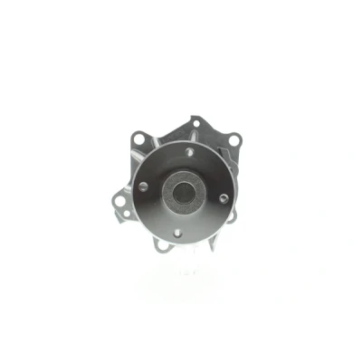 Abbildung von AISIN WPN 010 Wasserpumpe NISSAN: Patrol GR 4 SUV, 3/2 Hardtop