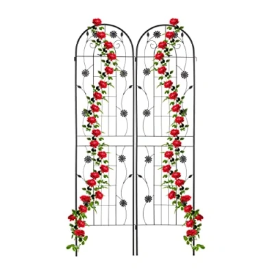 Abbildung von Relaxdays Rankgitter, 2er Set, 200 x 50 1,5 cm, Metall, Rankhilfe für Kletterpflanzen, freistehend, zum Stecken, schwarz