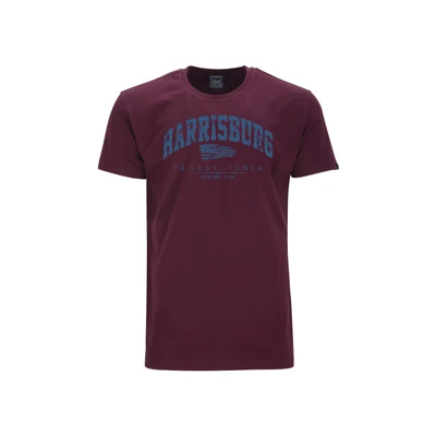 Abbildung von AHORN SPORTSWEAR T Shirt &quot;HARRISBURG ATLANTIC BLUE&quot;, mit modischem Frontprint