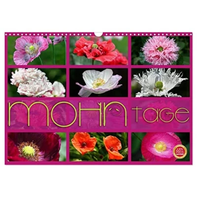 Abbildung von Mohn Tage (Wandkalender 2025 DIN A3 quer), CALVENDO Monatskalender