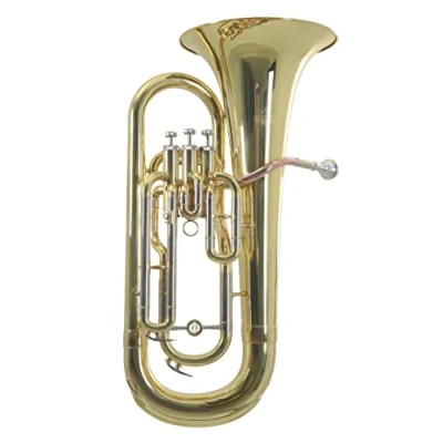 Abbildung von Roy Benson Bb Euphonium EP 301 (Professionelles Blasinstrument, mit Goldmessing Mundrohr, Neusilber Außenzüge, Edelstahl Ventile, komfortablem Formetui)