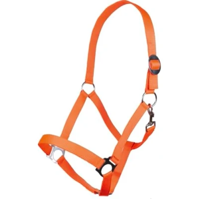 Abbildung von Pony Halfter Stars Economy Softice neon orange