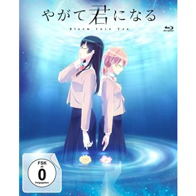 Abbildung von Bloom Into You Volume 3 (Episode 9 13) im Sammelschuber