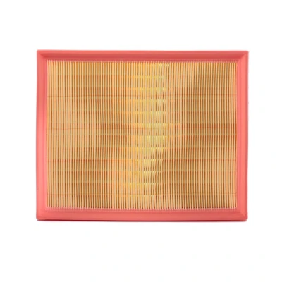 Abbildung von AUTOMEGA 180027610 Luftfilter Filtereinsatz AUDI: A4 B6 Limousine, B7 Avant, SEAT: Exeo ST, Limousine