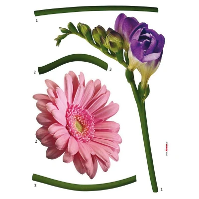 Abbildung von Komar Wandtattoo &quot;Fiore&quot;, (5 St.), 50x70 cm (Breite x Höhe), selbstklebendes