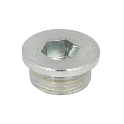 Abbildung von ELRING 587.180 Ölablaßschraube M22x1,5x10 12 mm, ohne Dichtring FIAT: Ducato III Bus, Kastenwagen, Pritsche / Fahrgestell