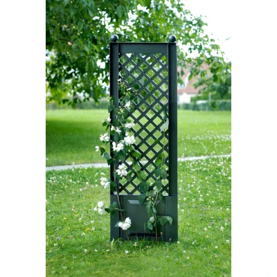 Abbildung von KHW Spalier, BxTxH: 43x6x140 cm, grün