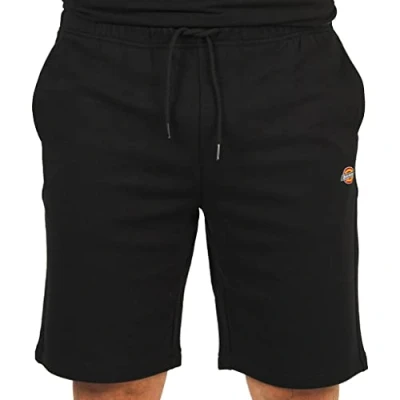 Abbildung von Dickies Mapleton Shorts XL