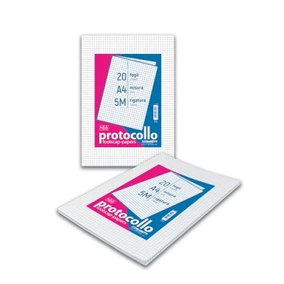 Abbildung von Protokoll Blatt Packung mit 20 linierten A4 Blättern, liniert 5mm, 60gr Papier ohne Ränder