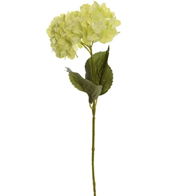 Abbildung von Dadeldo Living &amp; Lifestyle Kunstblume Seidenblumen Hortensie Stiel 67cm grün