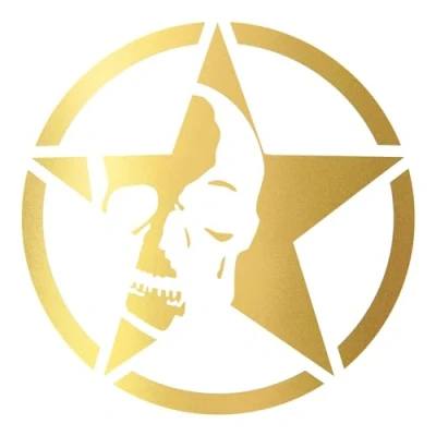 Abbildung von Finest Folia 2er Set Autoaufkleber Army Stern Sticker Folie für Auto Motorrad Anhänger Aufkleber US Star Motiv 2 selbstklebend wetterfest Kfz Zubehör K168 (Gold, ⌀ 10cm)