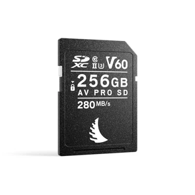 Abbildung von ANGELBIRD AV PRO SD MK2 256GB V601 Pack