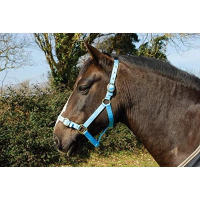 Abbildung von Rhinegold Babyblau Nylonhalfter Shettland, Shetland,Pony,Cob, Extra Full