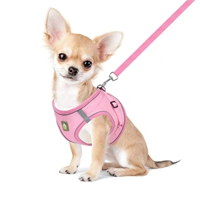 Abbildung von FEimaX Hundegeschirr mit Leine für Kleine Mittele Hunde Katzen Weich Mesh Welpengeschirr Atmungsaktive Brustgeschirr Verstellbare Reflektierend No Pull Weste Chihuahua Katze