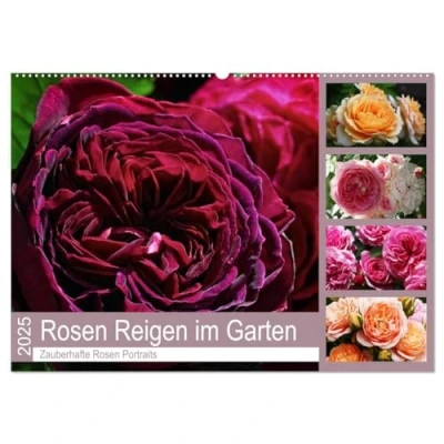 Abbildung von Rosen Reigen im Garten (Wandkalender 2025 DIN A2 quer), CALVENDO Monatskalender