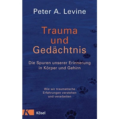 Abbildung von Trauma und Gedächtnis: Die Spuren unserer Erinnerung in Körper Gehirn Wie wir traumatische Erfahrungen verstehen verarbeiten