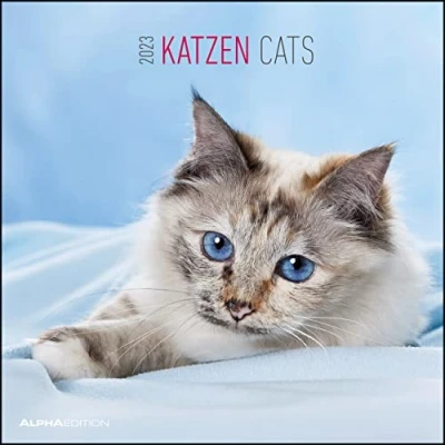 Abbildung von Katzen 2023 Broschürenkalender 30x30 cm (30x60 geöffnet) Kalender mit Platz für Notizen Cats Bildkalender Wandplaner Katzenkalender