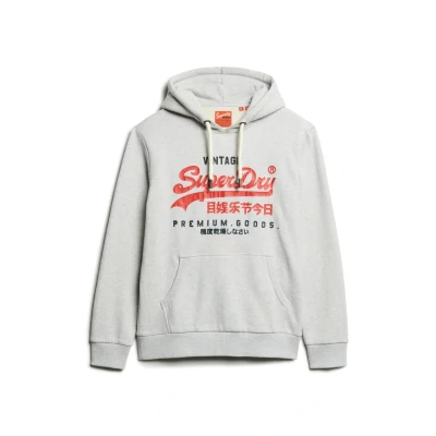 Abbildung von Superdry Kapuzenpullover, Herren, Größe: Large, Hellgrau