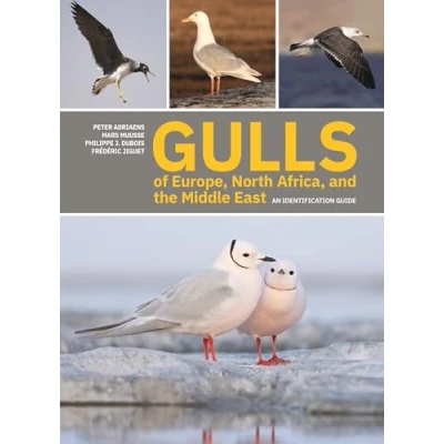 Abbildung von Gulls of Europe, North Africa, and the Middle East: An Identification Guide