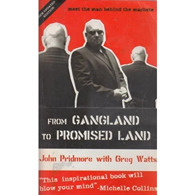 Abbildung von From Gangland To Promised Land