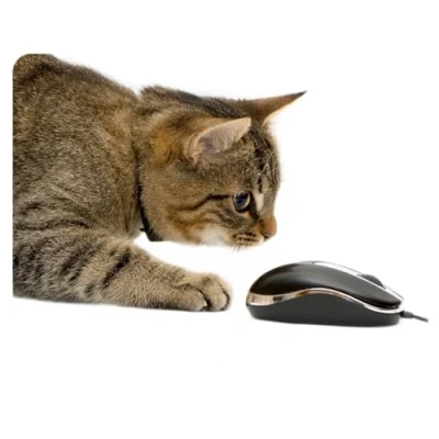 Abbildung von younikat Mauspad mit Katzen Motiv
