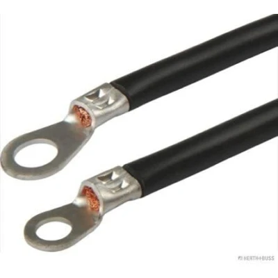 Abbildung von HERTH+BUSS ELPARTS 52287515 Masseband