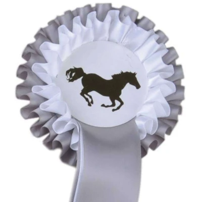 Abbildung von HKM Turnierschleife Zweifachrosette Silber/Weiß