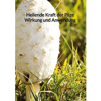 Abbildung von Heilende Kraft der Pilze Wirkung und Anwendung