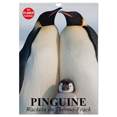 Abbildung von Pinguine. Wackeln im Thermo Frack (Wandkalender 2025 DIN A4 hoch), CALVENDO Monatskalender