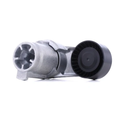 Abbildung von INA 534 0433 10 Spannarm, Keilrippenriemen BMW: X3, 1 Schrägheck, X5