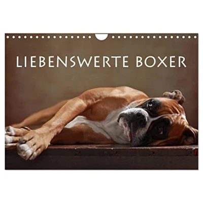 Abbildung von Liebenswerte Boxer (Wandkalender 2025 DIN A4 quer), CALVENDO Monatskalender